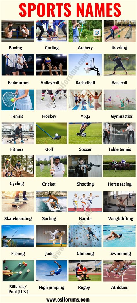 everygame sports.